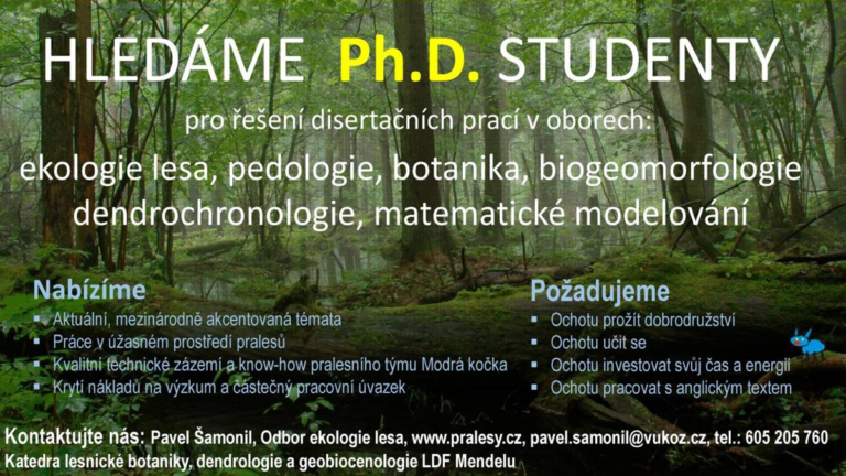 Hledáme Ph.D. studenty
