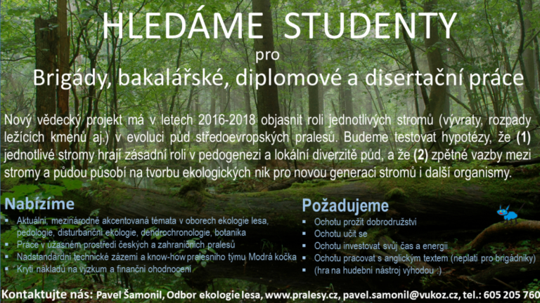 Hledáme studenty