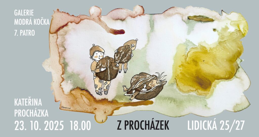 Z procházek
