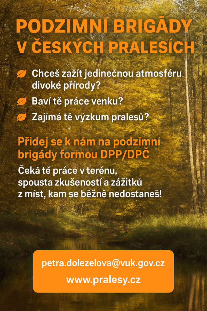 Podzimní bridágy