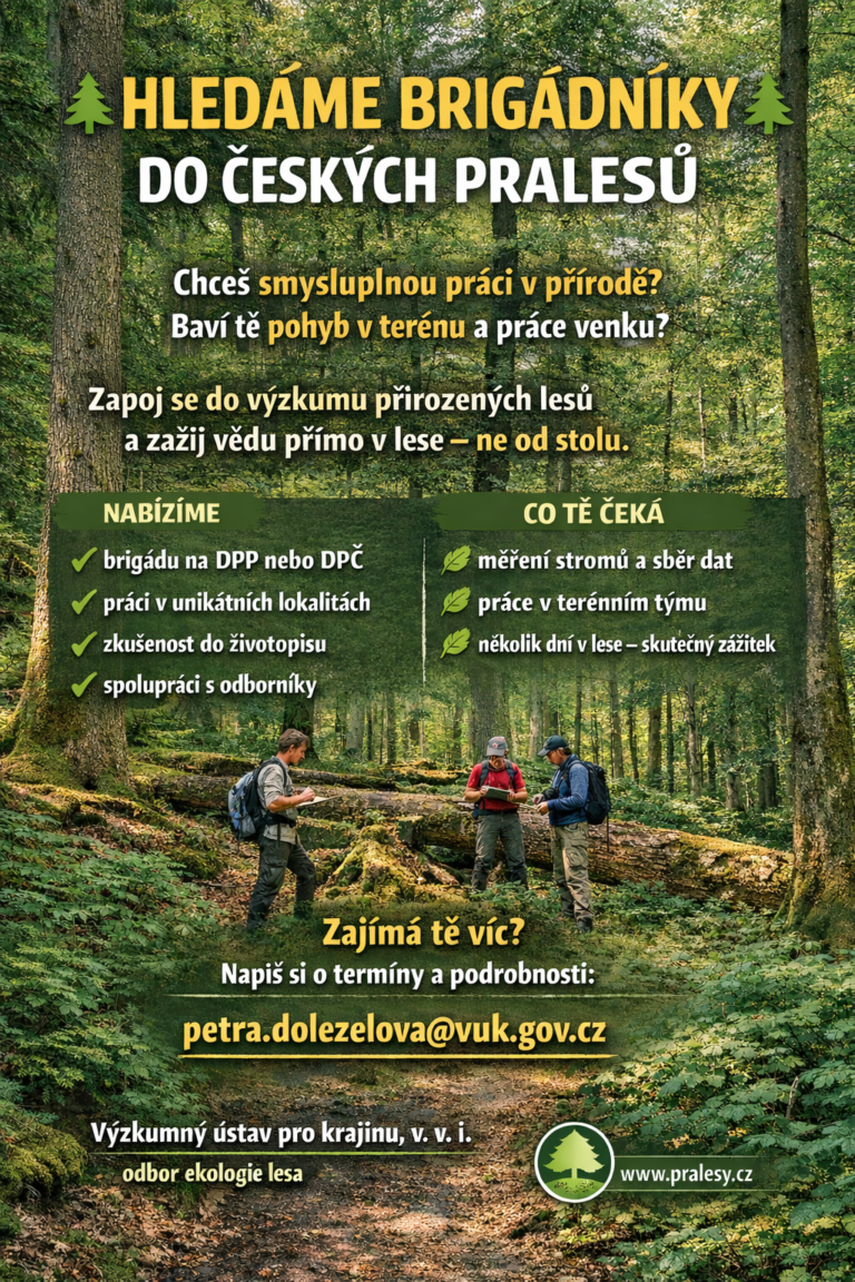 Hledáme brigádníky na léto 2026