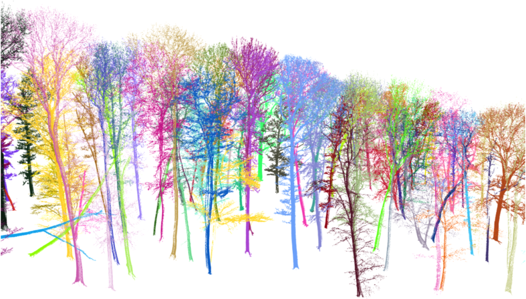 Terrestrial laser scanning (TLS)