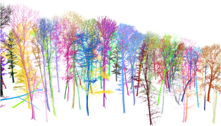 Terrestrial laser scanning (TLS)